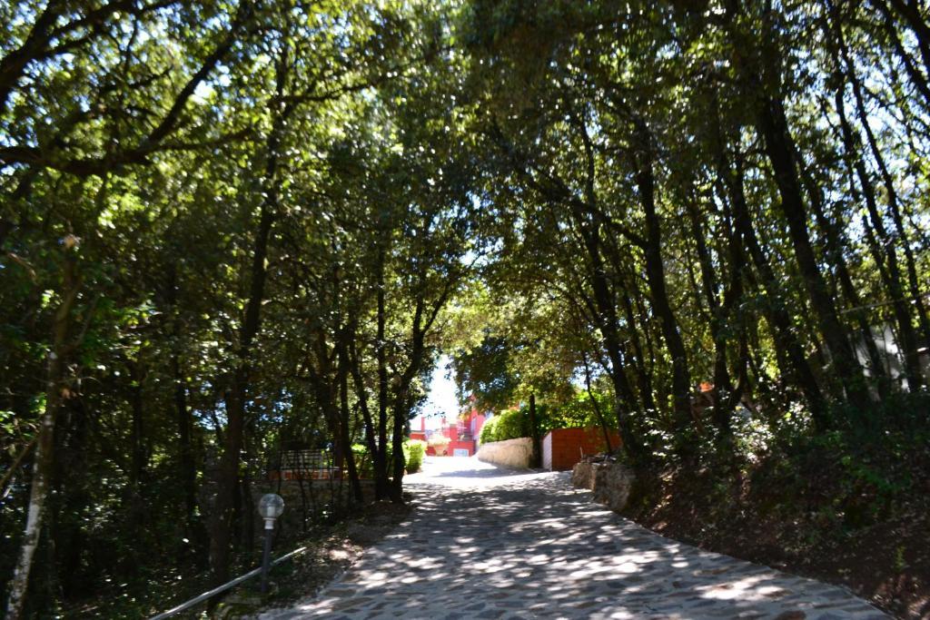 B&B Spring Перуджа Экстерьер фото